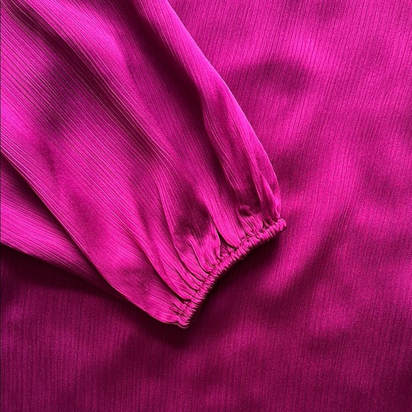 Express Satin Long Sleeve Pleated Gramercy Top - Picture 4 of 4